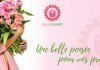 Fleurs à Marrakech : préparer les fêtes avec Ereka