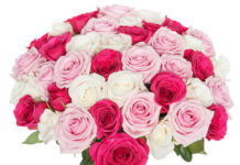 Ereka Fleuriste, la nouvelle star des fleurs en ligne à Marrakech