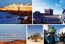 Excursion à Essaouira : Explorez le Charme de cette Ville Côtière Marocaine