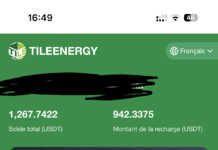 Alerte : TileEnergy.vip — une arnaque financière à dénoncer