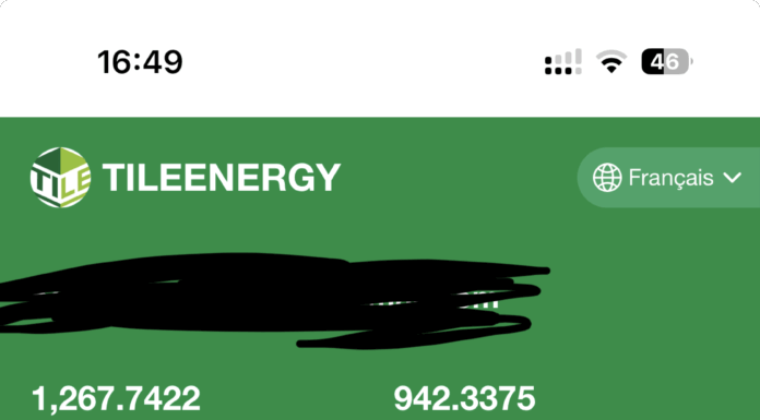 Alerte : TileEnergy.vip — une arnaque financière à dénoncer